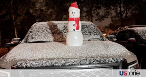 Rare snowfall covers homes and palm trees in Florida Panhandle during freezing temperatures