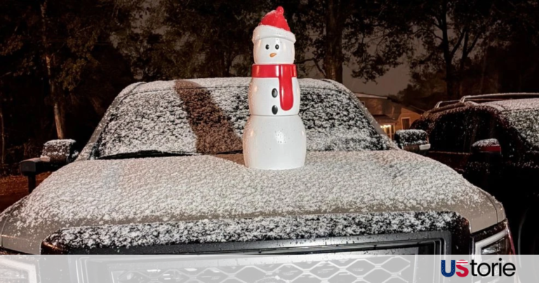 Rare snowfall covers homes and palm trees in Florida Panhandle during freezing temperatures