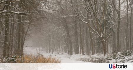 breaking news USA, latest US headlines,today’s top stories US, US news update today, trending news in America, newyork times